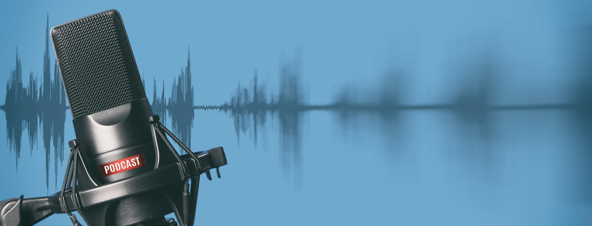 Singularity Sanctuary Podcast